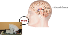 lord hypothalamus