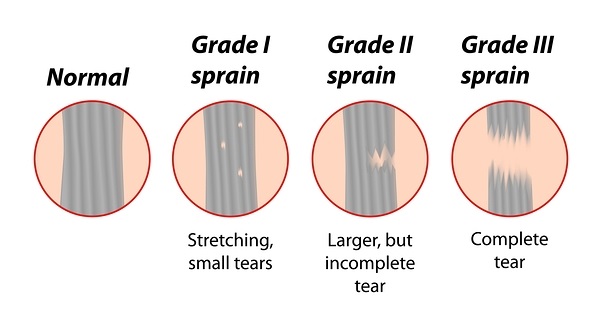 blood cell types