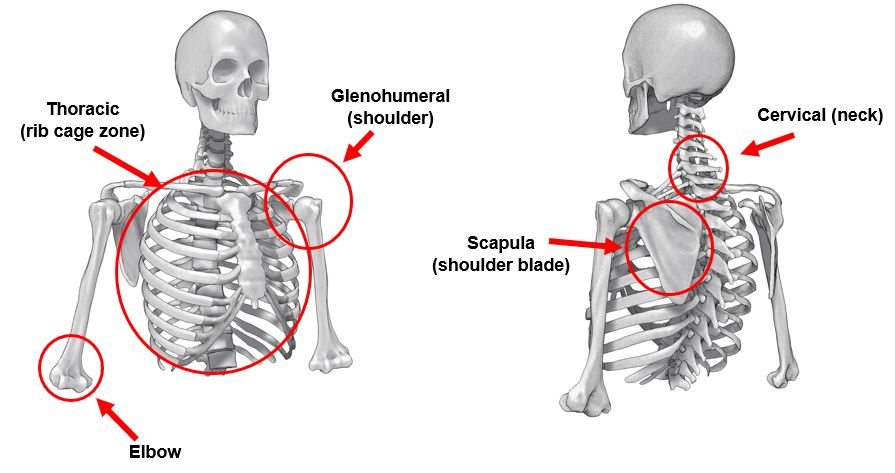 thoracic