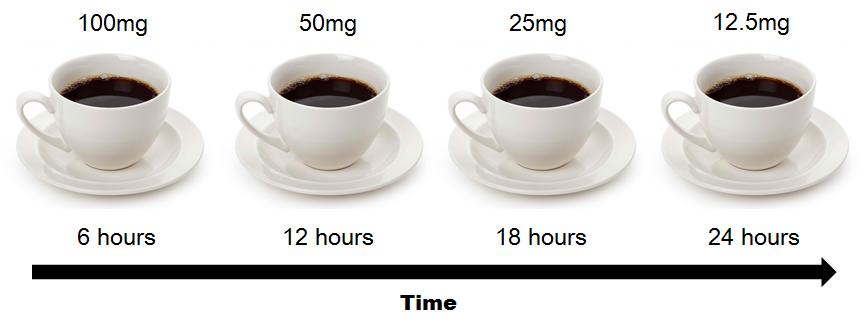 caffeine half life calc